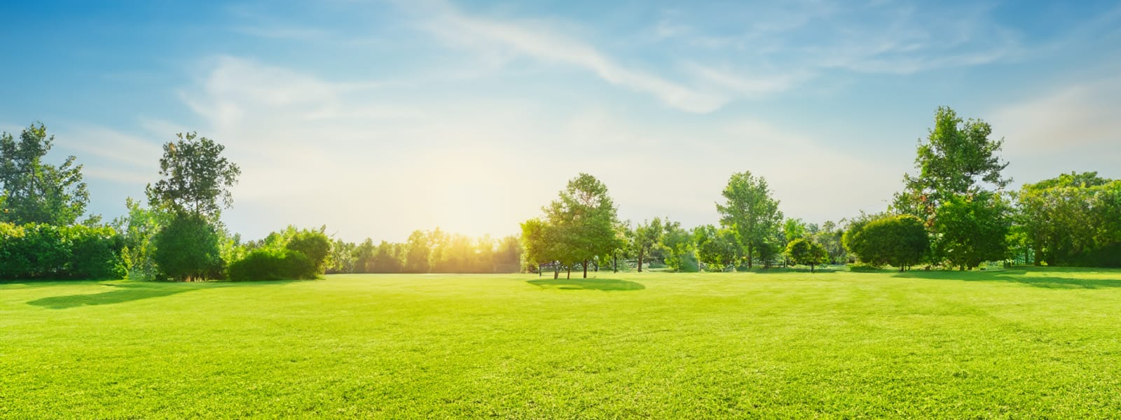 Landscape Company Pontiac IL