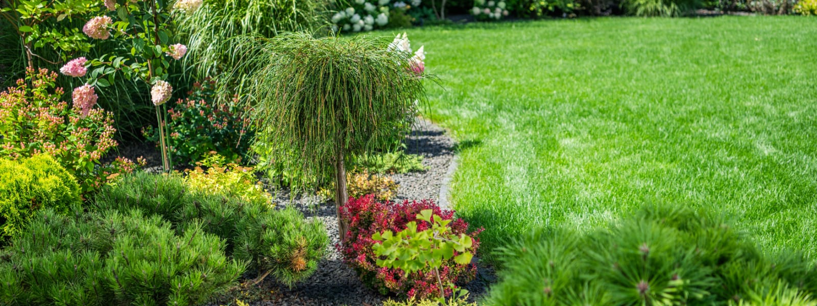 Landscape Company Springfield IL